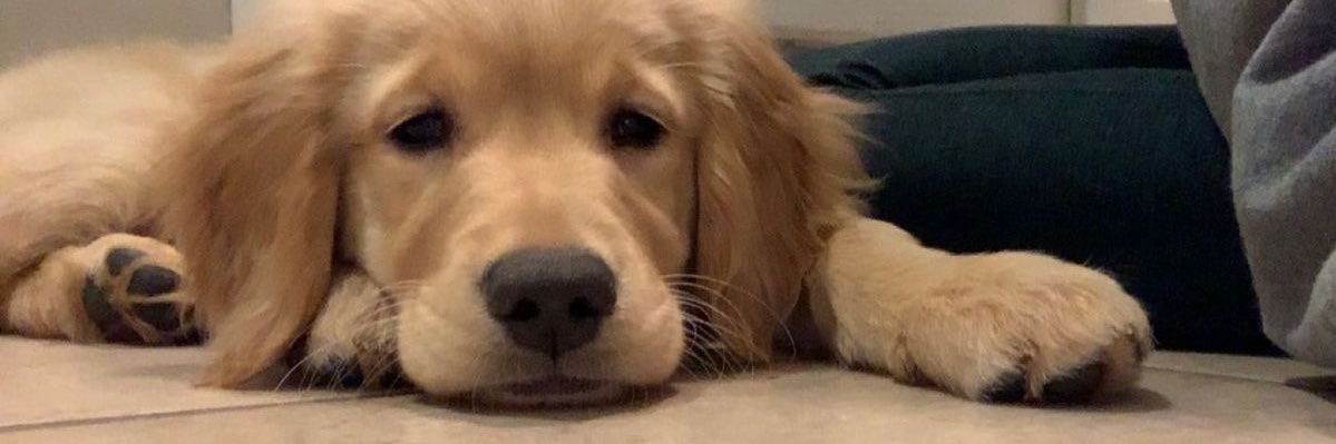 Clementine R. banner