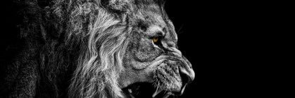 RickT800's profile banner image