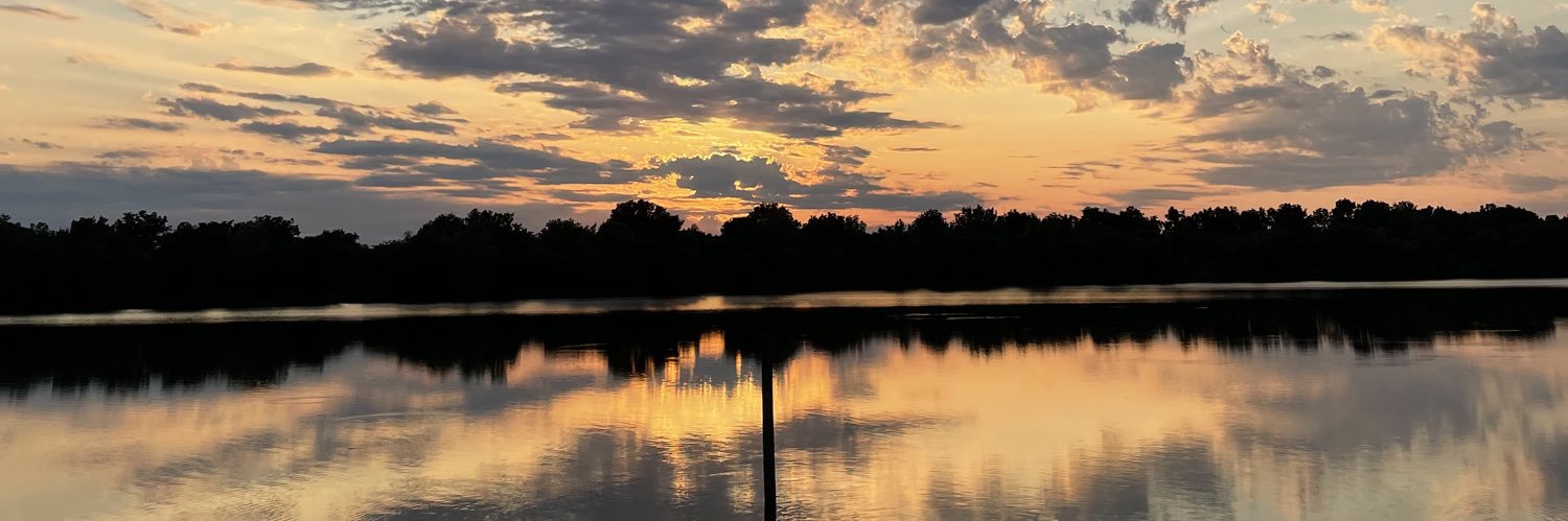 larzie_'s profile banner image