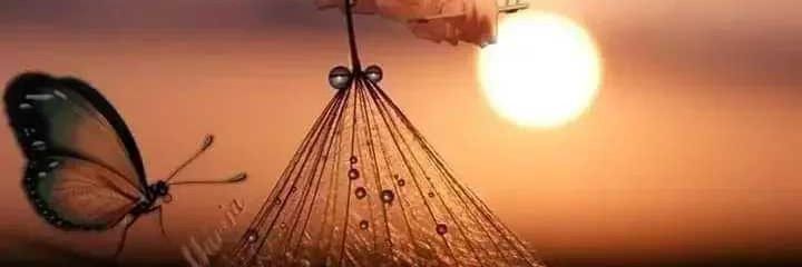 anssivam's profile banner image