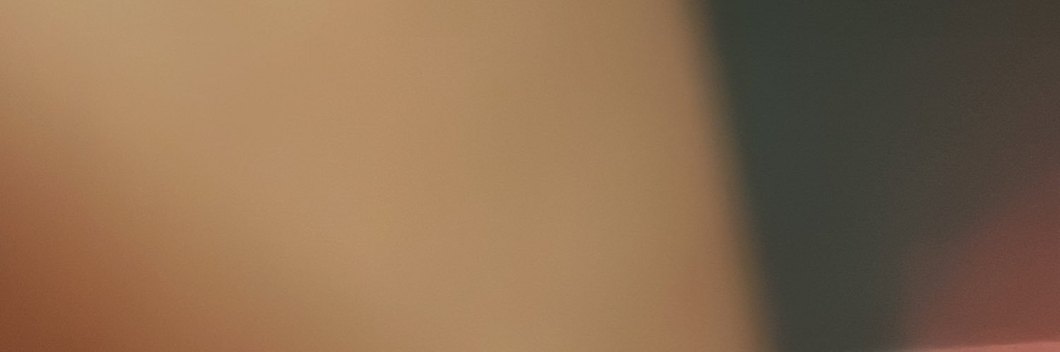 Lucy Bear banner