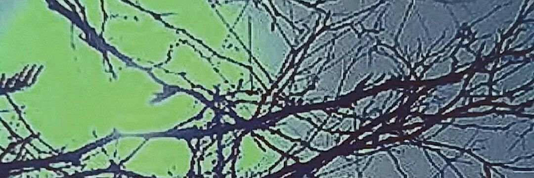 CirrusProject's profile banner image