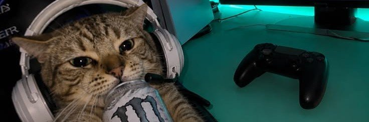 meden539's profile banner image