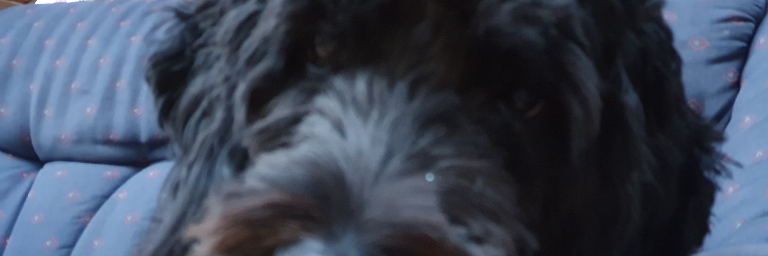 allelsewastaken's profile banner image