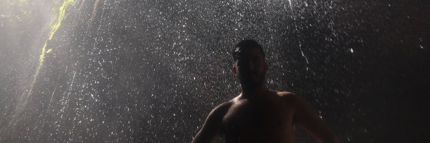 felipopovisk's profile banner image