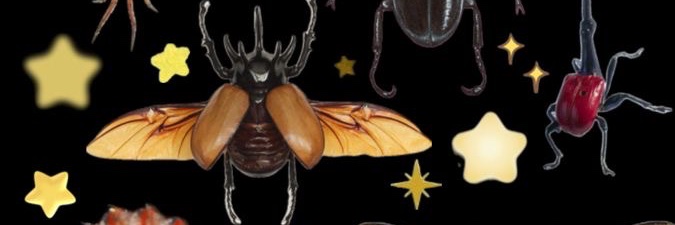 boy_with_rabies!!'s banner