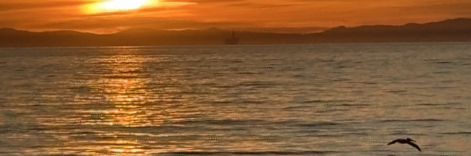 Michael Lancaster banner