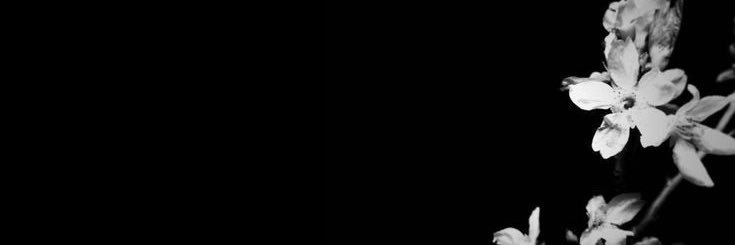 niuko banner