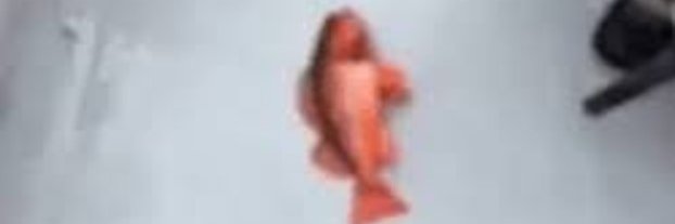 chomployee the 🚲's banner