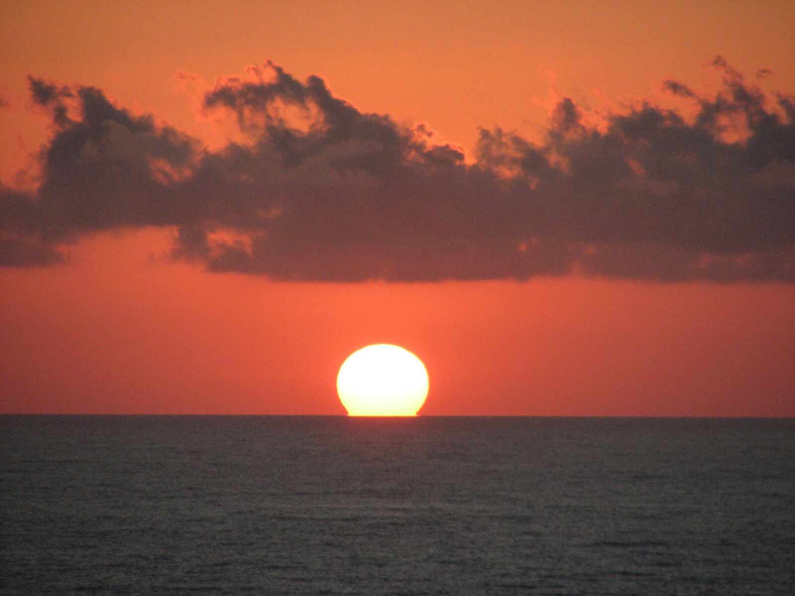 AsiaAlder's profile banner image