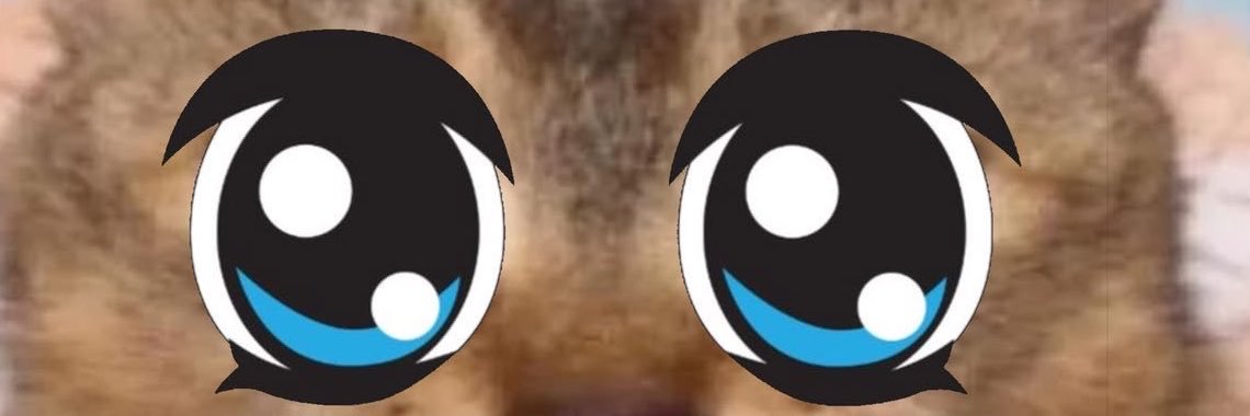 nvonnin's profile banner image