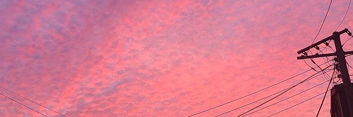 비니&미니 banner