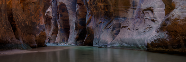 ReTake Profile Banner