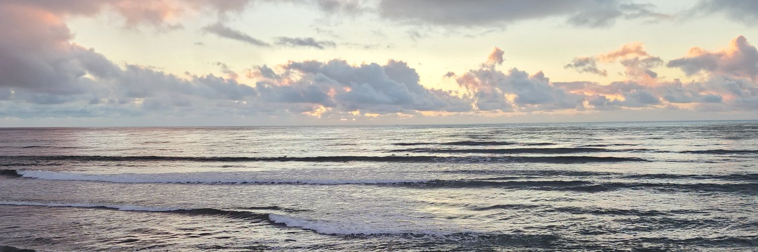 freedomforeveryone banner