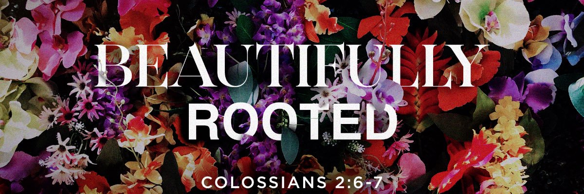 CathCChronicles's profile banner image