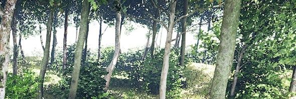 mppwork_takada's profile banner image