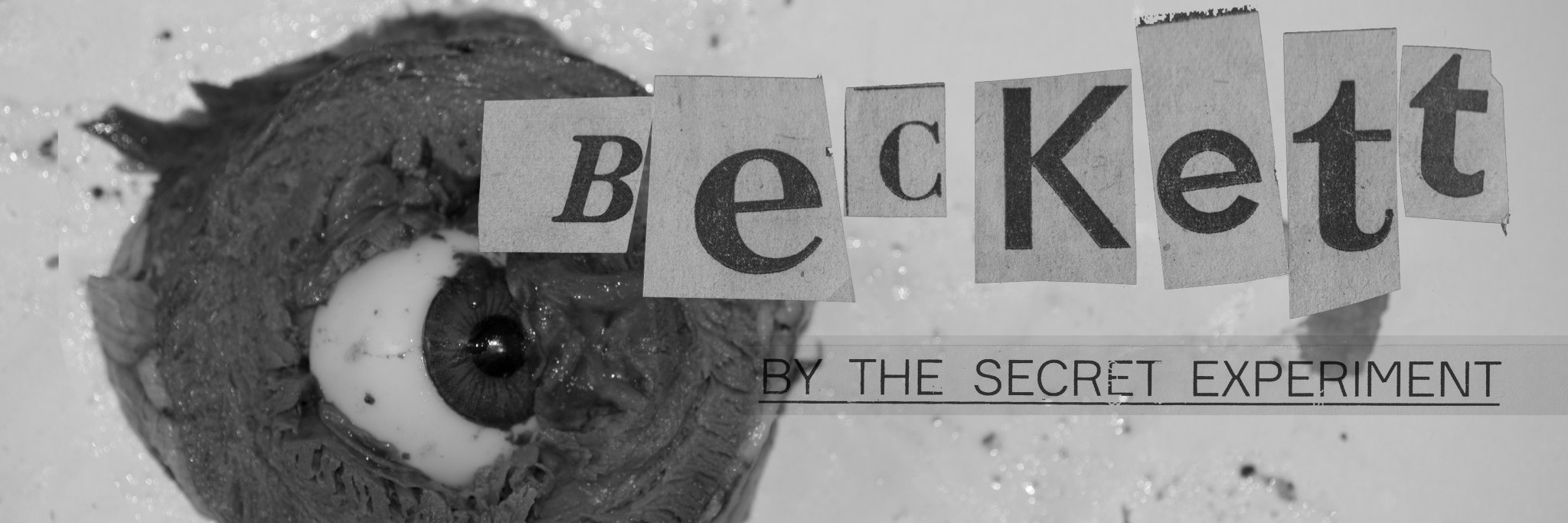 Secret Experiment banner