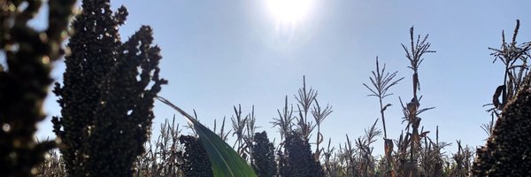 pete_crisp Profile Banner