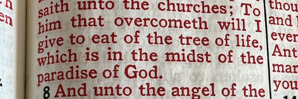 00Fimbo Profile Banner