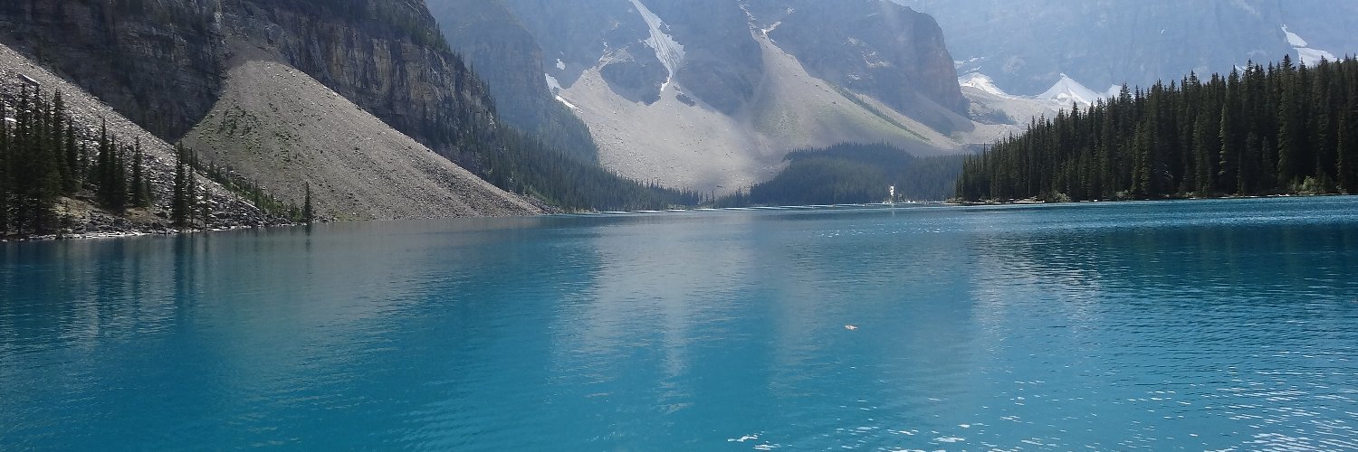 れおこ@最長老 banner