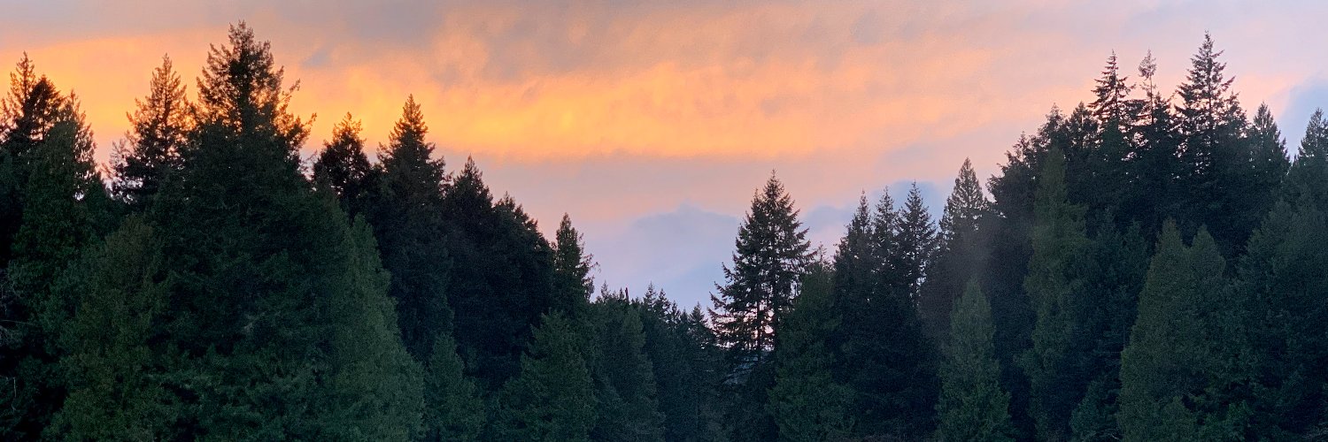 max_is_loud's profile banner image