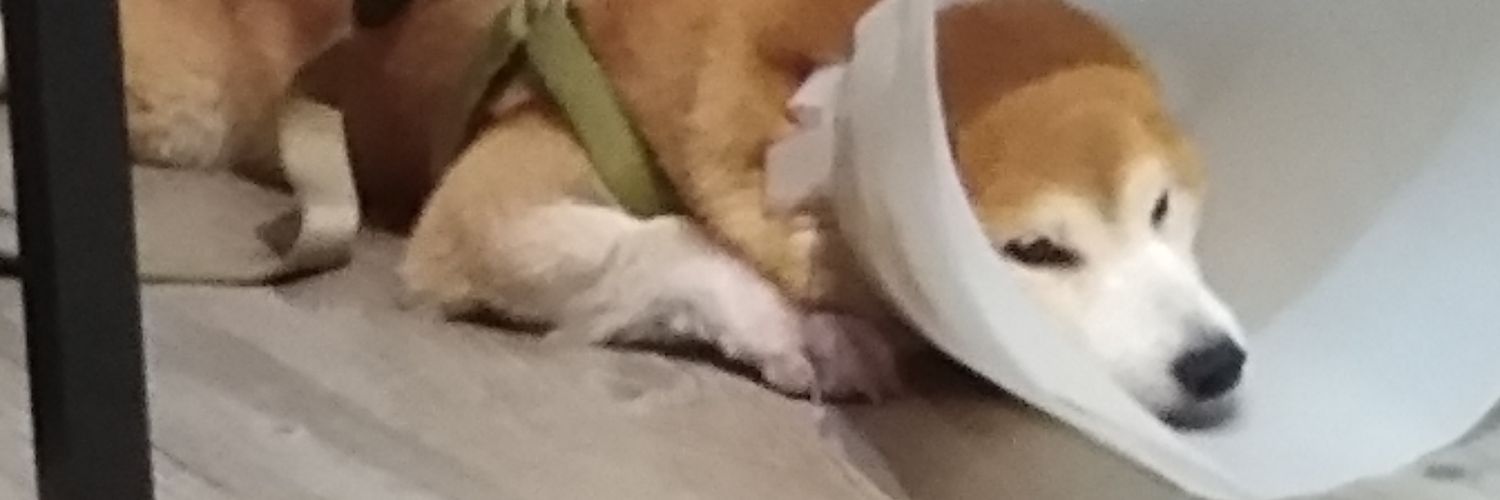 我是鹿 banner