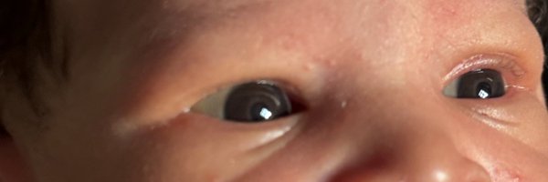 Bigxriy Profile Banner