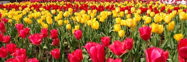 lisastonecareer Profile Banner