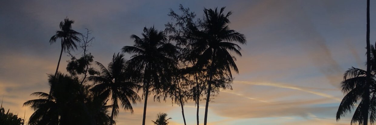 MChandraNovi's profile banner image