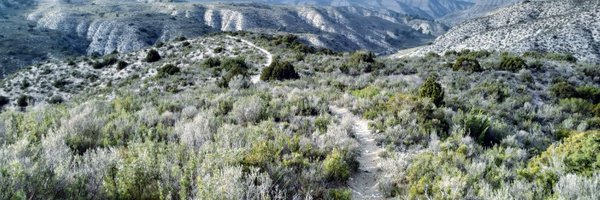 AlexGtrzD Profile Banner