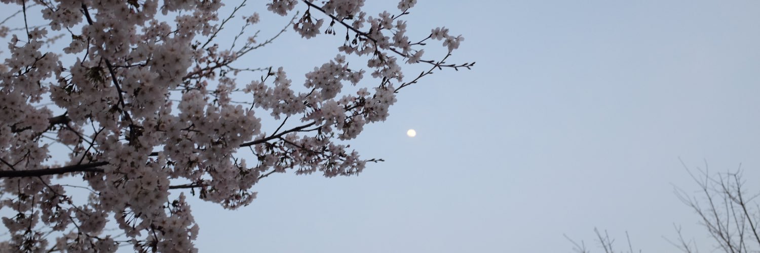 BBMOON's profile banner image