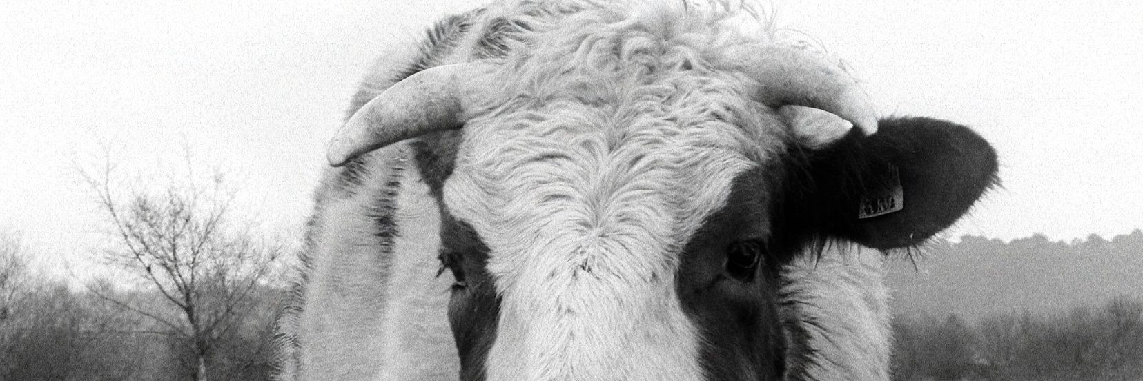 vor_iz's profile banner image