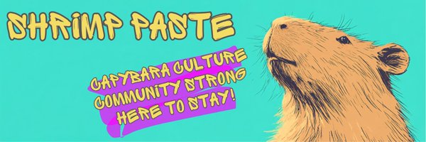 CTOShrimp Profile Banner