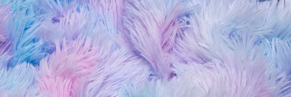 FollowingFurs Profile Banner