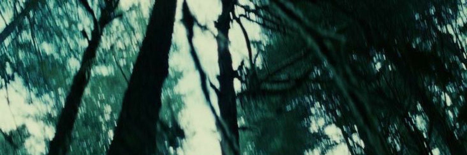 aleks ⋆˚꩜｡ ia banner