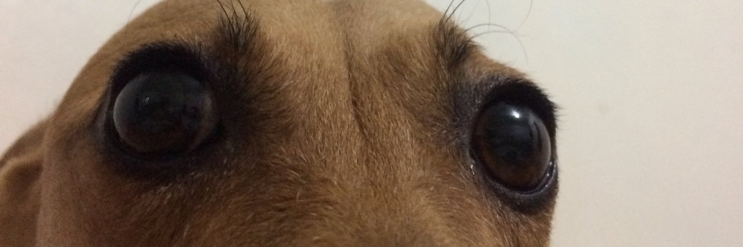 phenommemps's profile banner image