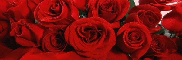 Dr_Shehzad_A Profile Banner