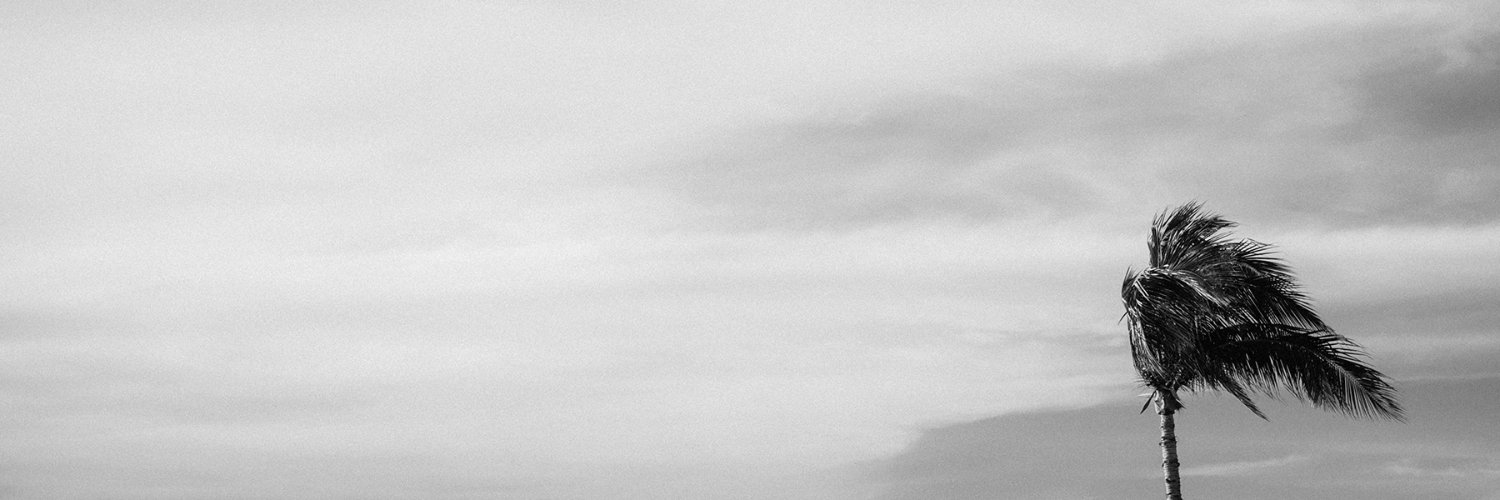 cfontenot's profile banner image
