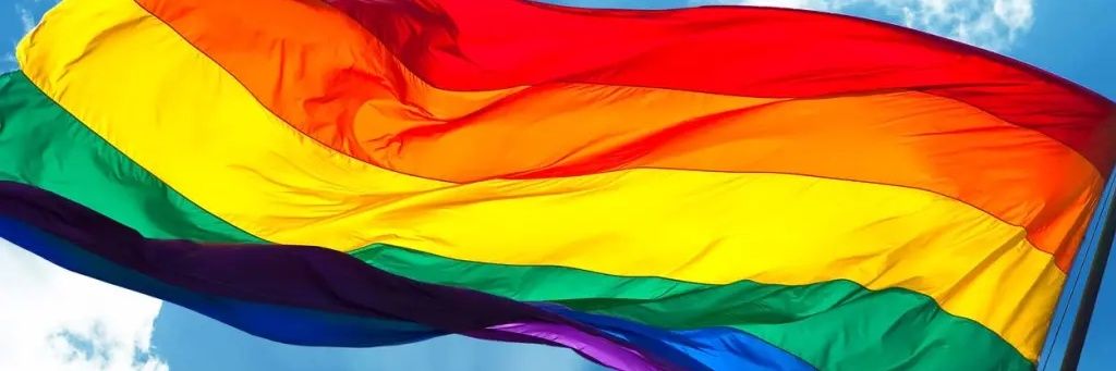 Lasse Ødegaard 🏳️‍🌈 banner