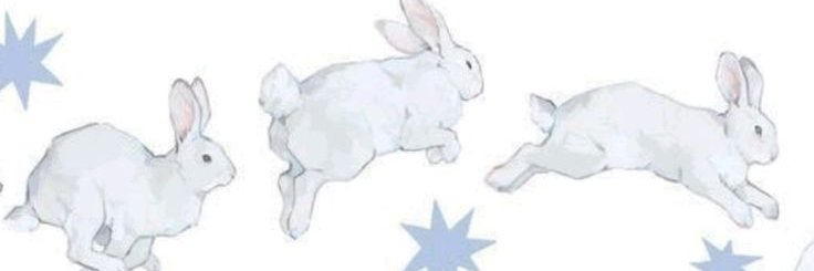 thornnnova's profile banner image