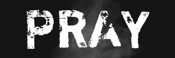 Domain_script Profile Banner