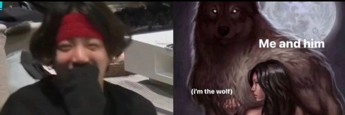 rosi ⋆.𐙚 ̊ banner