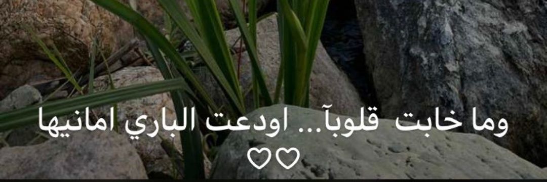 🕊🤍 banner