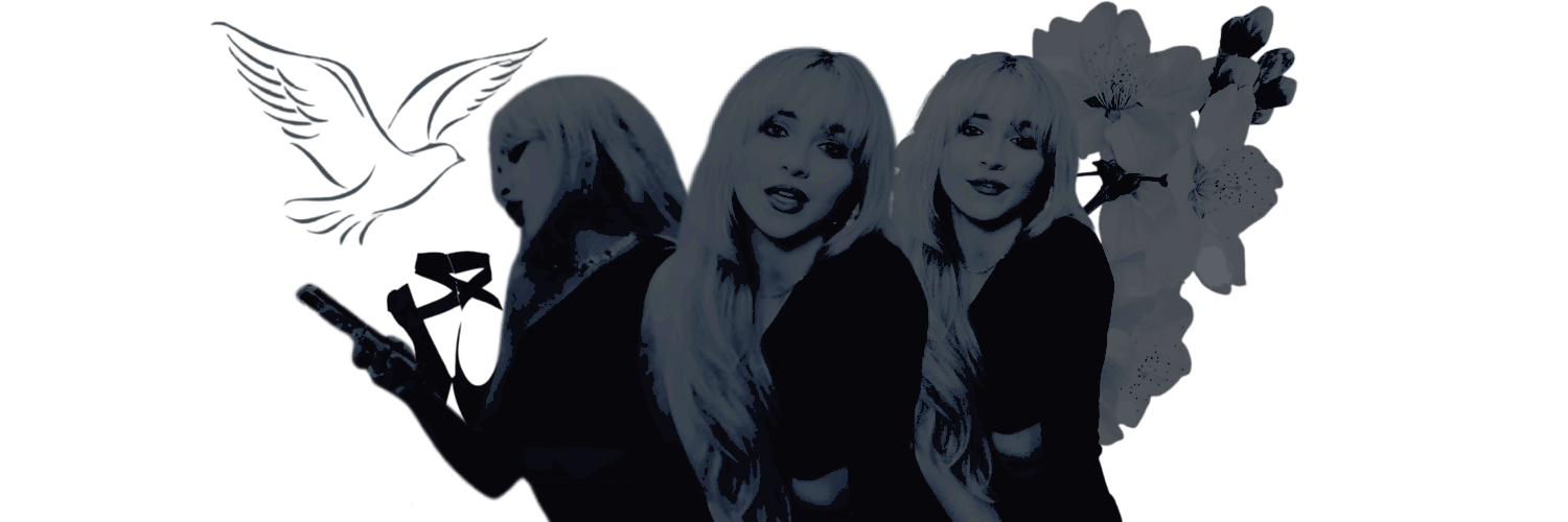 ᅠ ،،̲ᅠ 𓏲𓍢 𝑳𝑰𝑻𝑻𝑳𝑬 🩸𝑽𝑰𝑪𝑰𝑶𝑼𝑺𓂂｡ banner