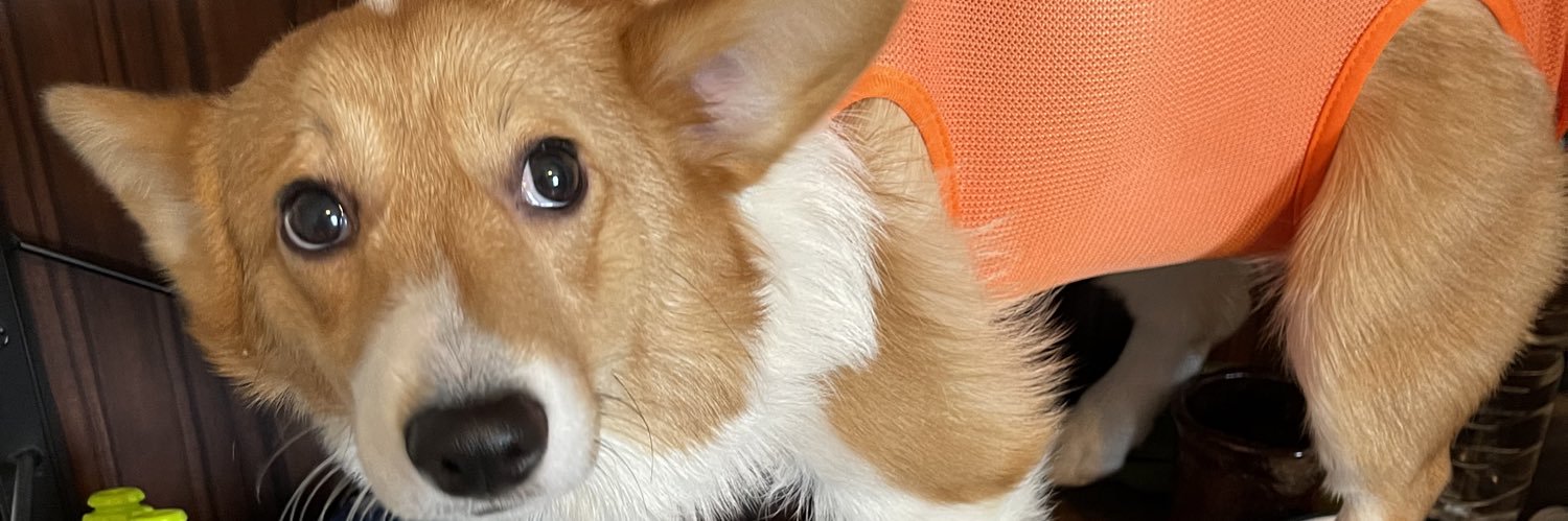 gao_1977's profile banner image
