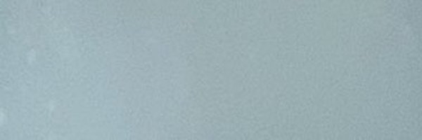 flowerin_riga Profile Banner