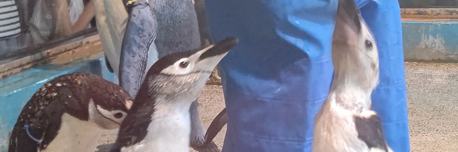 k_ozy_f's profile banner image