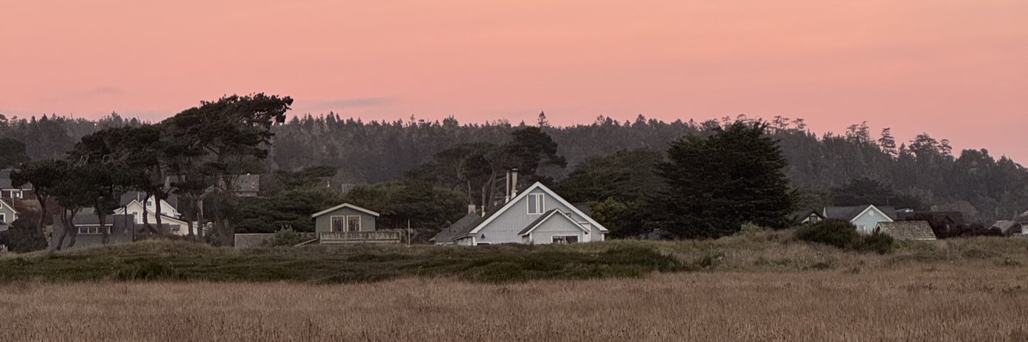 Vik banner