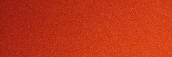 daily steve mackey's banner
