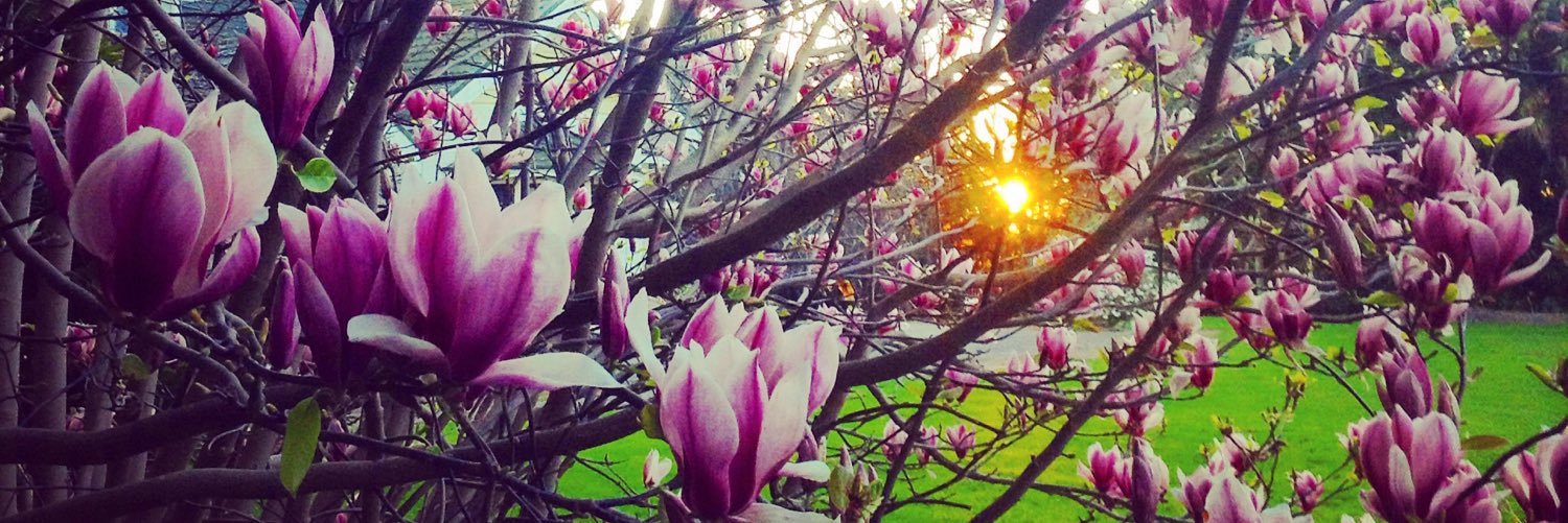 Katarina Gray-Sharp, PhD banner